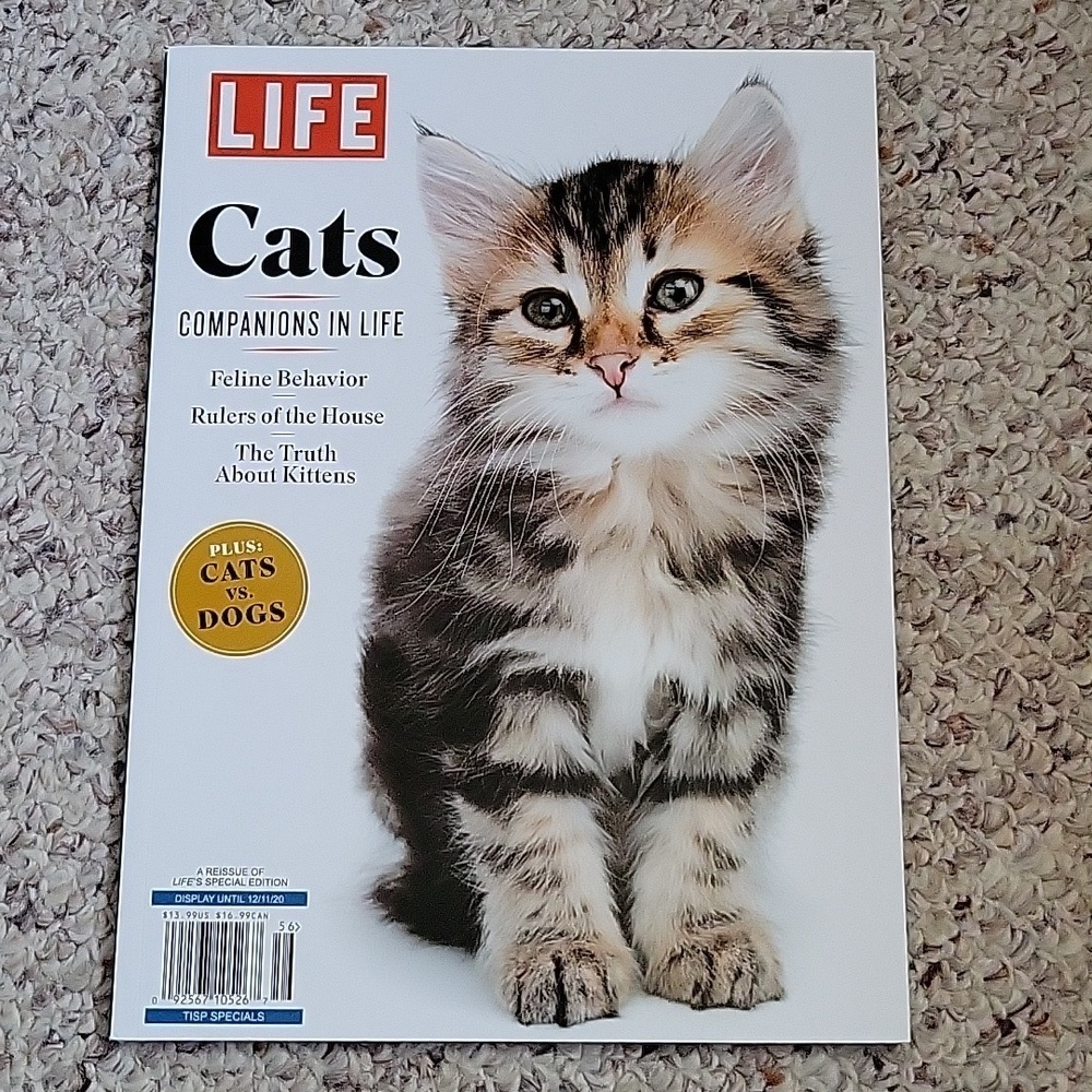 2019 LIFE Magazine "Cats: Companions in Life" Brand New Condition